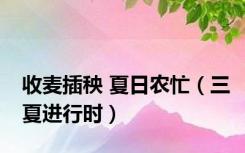 收麦插秧 夏日农忙（三夏进行时）
