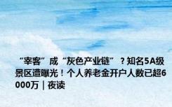 “宰客”成“灰色产业链”？知名5A级景区遭曝光！个人养老金开户人数已超6000万｜夜读