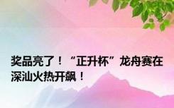 奖品亮了！“正升杯”龙舟赛在深汕火热开飙！