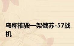 乌称摧毁一架俄苏-57战机