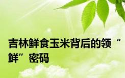 吉林鲜食玉米背后的领“鲜”密码
