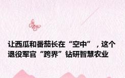让西瓜和番茄长在“空中”，这个退役军官“跨界”钻研智慧农业