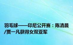 羽毛球——印尼公开赛：陈清晨/贾一凡获得女双亚军