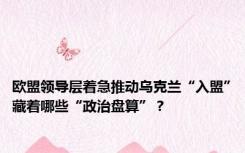 欧盟领导层着急推动乌克兰“入盟”藏着哪些“政治盘算”？