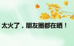 太火了，朋友圈都在晒！