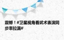 震撼！#卫星视角看武术表演同步率拉满#
