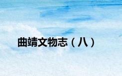 曲靖文物志（八）
