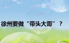 徐州要做“带头大哥”？