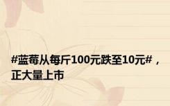 #蓝莓从每斤100元跌至10元#，正大量上市