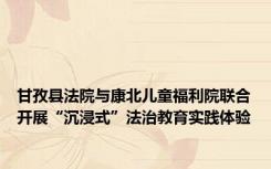 甘孜县法院与康北儿童福利院联合开展“沉浸式”法治教育实践体验