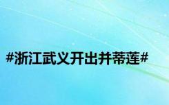 #浙江武义开出并蒂莲#