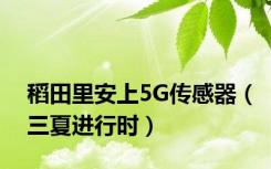 稻田里安上5G传感器（三夏进行时）