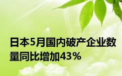 日本5月国内破产企业数量同比增加43%