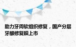 助力牙周软组织修复，国产分层牙龈修复膜上市