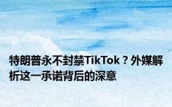 特朗普永不封禁TikTok？外媒解析这一承诺背后的深意