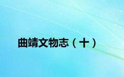曲靖文物志（十）
