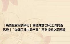 「高质量发展调研行」聚链成群 煤化工奔向百亿级｜“做强工业主导产业”系列报道之黔西篇