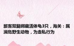 旅客双腿绑藏活体龟3只，海关：属濒危野生动物，为走私行为