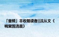 「音频」丰收朗读者‖沈从文《鸭窠围清晨》