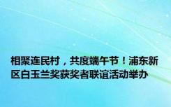 相聚连民村，共度端午节！浦东新区白玉兰奖获奖者联谊活动举办