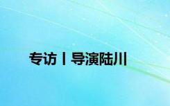 专访丨导演陆川