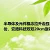 半导体及元件概念拉升走强 台基股份、安路科技双双20cm涨停