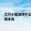 三只小猫演绎什么叫呆萌本呆