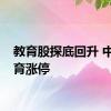 教育股探底回升 中公教育涨停