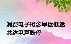 消费电子概念早盘低迷 共达电声跌停