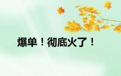 爆单！彻底火了！