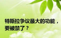 特斯拉争议最大的功能，要被禁了？