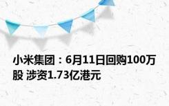 小米集团：6月11日回购100万股 涉资1.73亿港元