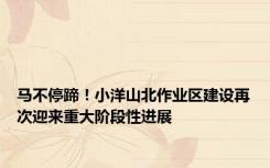 马不停蹄！小洋山北作业区建设再次迎来重大阶段性进展