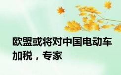 欧盟或将对中国电动车加税，专家