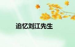 追忆刘江先生