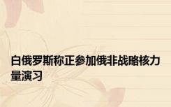 白俄罗斯称正参加俄非战略核力量演习