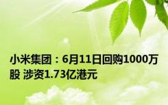小米集团：6月11日回购1000万股 涉资1.73亿港元