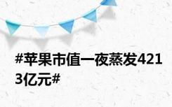 #苹果市值一夜蒸发4213亿元#