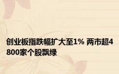 创业板指跌幅扩大至1% 两市超4800家个股飘绿