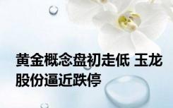 黄金概念盘初走低 玉龙股份逼近跌停