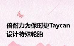 倍耐力为保时捷Taycan设计特殊轮胎