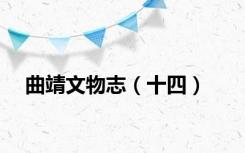 曲靖文物志（十四）