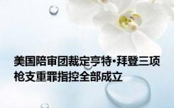 美国陪审团裁定亨特·拜登三项枪支重罪指控全部成立