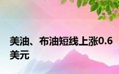 美油、布油短线上涨0.6美元