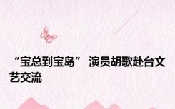 “宝总到宝岛” 演员胡歌赴台文艺交流