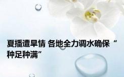 夏播遭旱情 各地全力调水确保“种足种满”