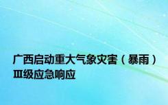 广西启动重大气象灾害（暴雨）Ⅲ级应急响应