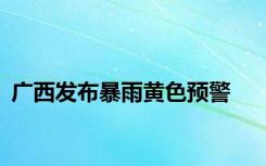 广西发布暴雨黄色预警