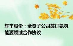辉丰股份：全资子公司签订氨氢能源领域合作协议