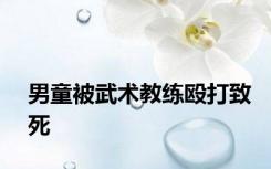男童被武术教练殴打致死